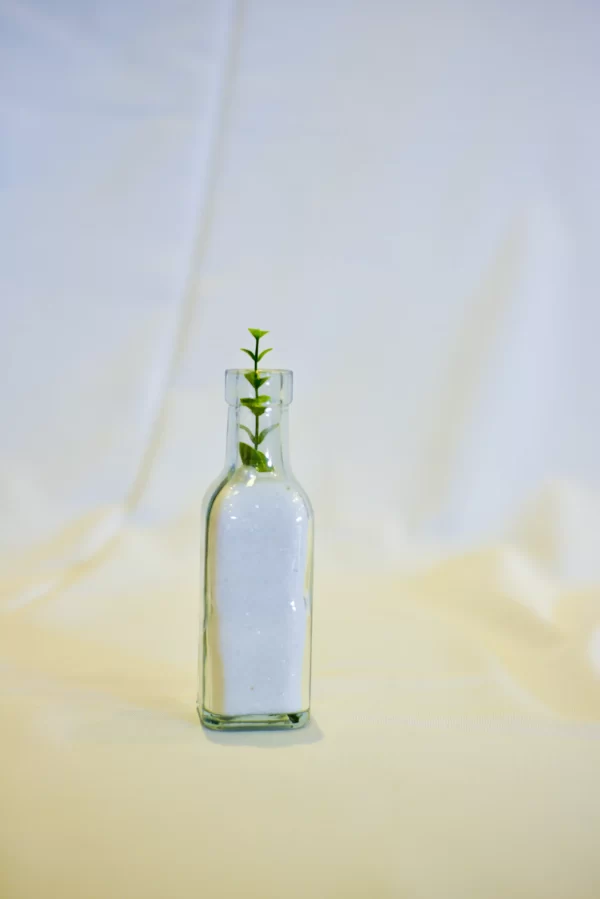 Mini Garrafa c/ Tulipa Branca ou Vermelha